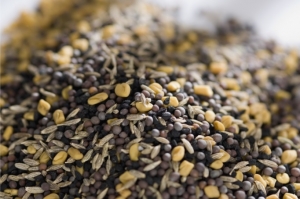 No cumin? No cumin?