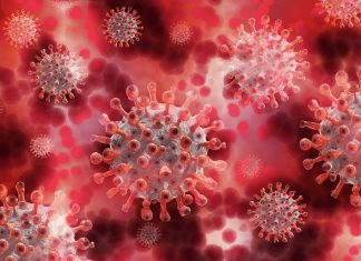 Coronavirus COVID19 Coronavirus COVID19
